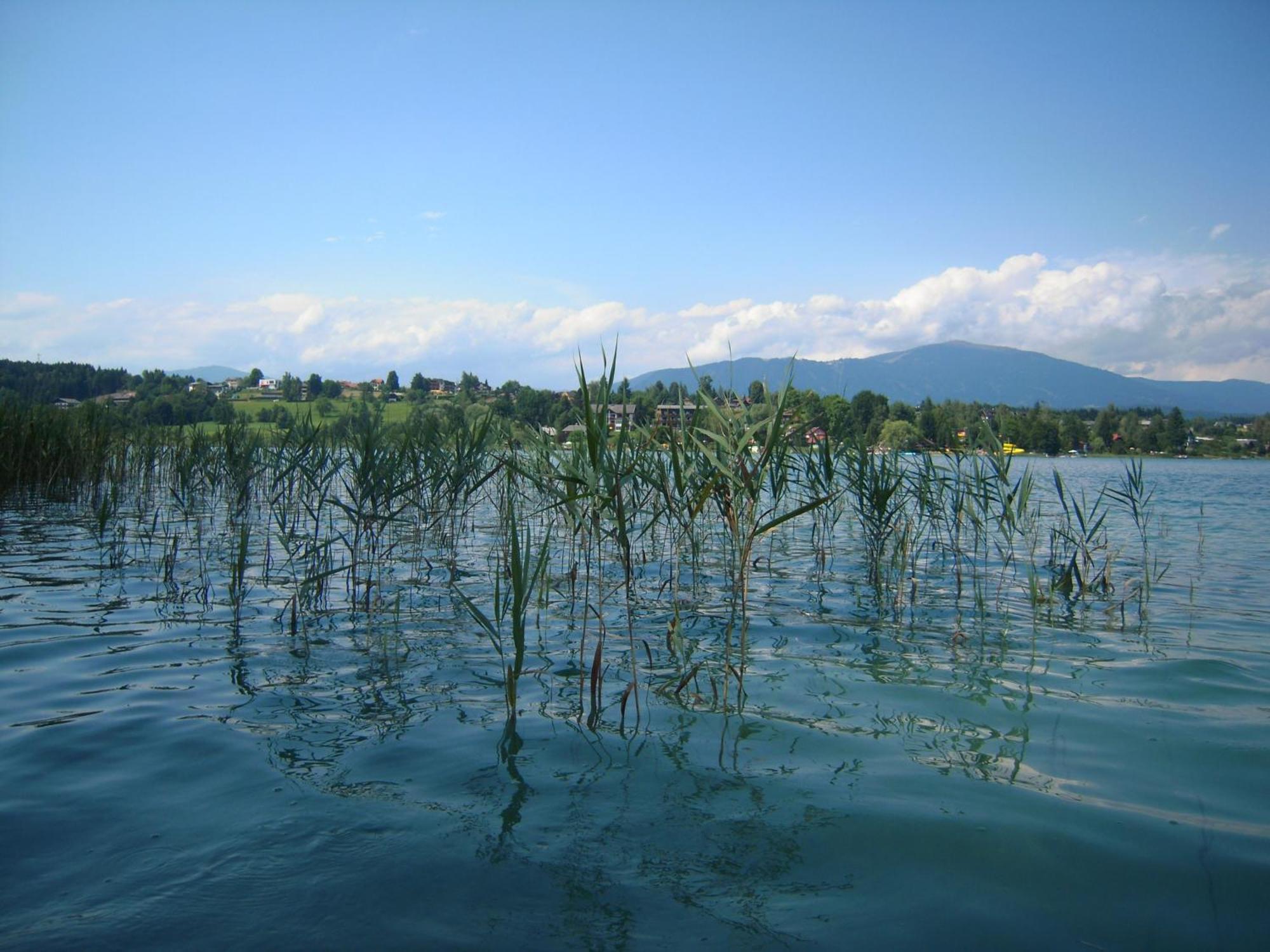 Seehotel Ressmann Drobollach am Faakersee Dış mekan fotoğraf